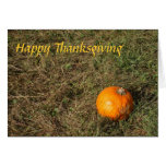 Pumpkin in Field Thanksgiving Card