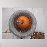 Pumpkin King Poster