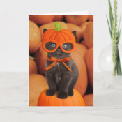Pumpkin Kitten Halloween Card card