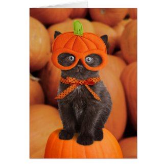 Pumpkin Kitten Halloween Card