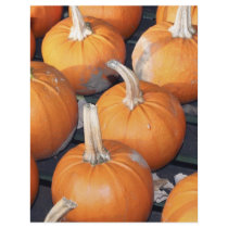 pumpkin line-up flyers by Ljrigg pumpkin line-up flyers