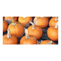 pumpkin line-up photo cards