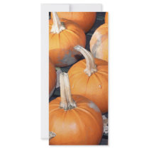 pumpkin line-up rack card template