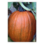 Pumpkin on a Trellis Cards