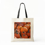 Pumpkin Patch bags
