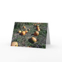 pumpkin patch cards by RandyCcC pumpkin patch cards