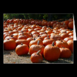 Pumpkin Patch Card