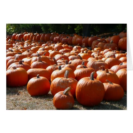 Pumpkin Patch Card