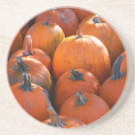 Pumpkin Patch Beverage Coasters
