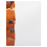 Pumpkin Patch flyers
