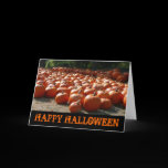 Pumpkin Patch Happy Halloween Card