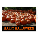Pumpkin Patch Happy Halloween Card