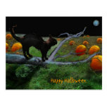Pumpkin patch, Happy Halloween postcards