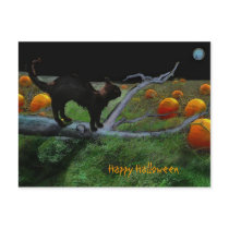 Pumpkin patch, Happy Halloween Post Card