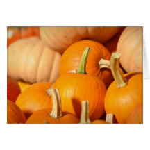 Pumpkin Patch Holiday Gift Photograph Greeting Cards