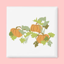Pumpkin Patch magnets by White_Wedding Pumpkin Patch magnets