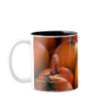 Pumpkin Patch Mugs