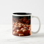 Pumpkin Patch Mug