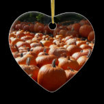 Pumpkin Patch Ornament