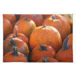 pumkins, holloween, pumkin, nature, food, farming,