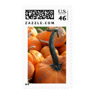 Pumpkin Patch stamp