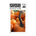 Pumpkin Patch postage by Ljrigg Pumpkin Patch postage