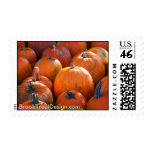 Pumpkin Patch Postage Stamp