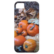 pumpkin, autumn, fall, harvest, scenery, scene, display, [[missing key: type_casemate_cas]] with custom graphic design