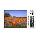 Pumpkin Patch- stamps by Akichan Pumpkin Patch- stamps