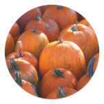 Pumpkin Patch Round Stickers