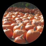 Pumpkin Patch Sticker