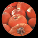Pumpkin Patch Sticker