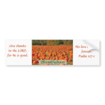 Pumpkin Patch - Thankfulness Bumper Sticker