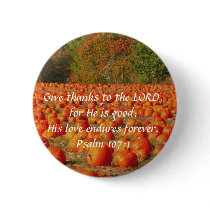 Pumpkin Patch - Thankfulness Pins
