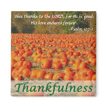 Pumpkin Patch - Thankfulness Fridge Magnet