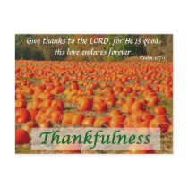 Pumpkin Patch - Thankfulness Postcards