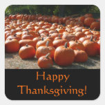 Pumpkin Patch Thanksgiving Sticker
