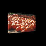 Pumpkin Patch Wrapped Canvas