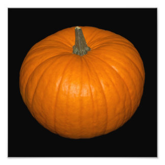 Pumpkin Photo Prints & Photography | Zazzle
