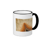 Pumpkin Pie Filling Mug