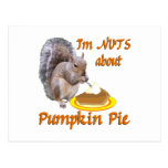 Pumpkin Pie Squirrel Post Card