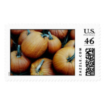 Pumpkin Pile Postage Stamp