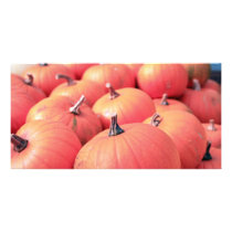 pumpkin portrait custom photo card