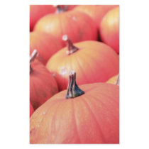 pumpkin portrait customized stationery
