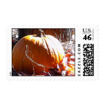 Pumpkin Postage