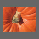 Pumpkin postcards