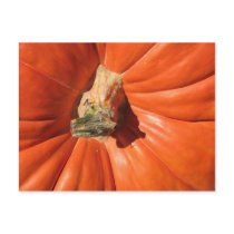 Pumpkin postcards