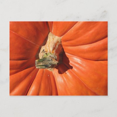 Pumpkin postcards