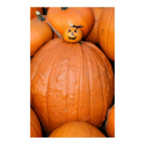 Pumpkin Poster posters by roborovskihamsters Pumpkin Poster posters