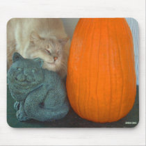 Pumpkin purr mousepads by Catartwork Pumpkin purr mousepads